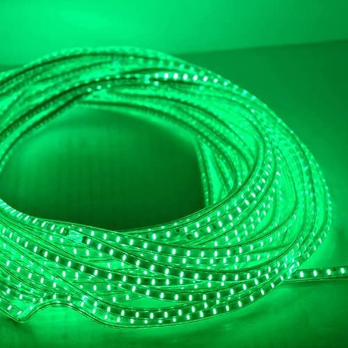 ڈبلیو جی ایل ای ڈی گرین روپ لائٹ، 220V، 10 میٹر-70 میٹر لیڈ کے ساتھ