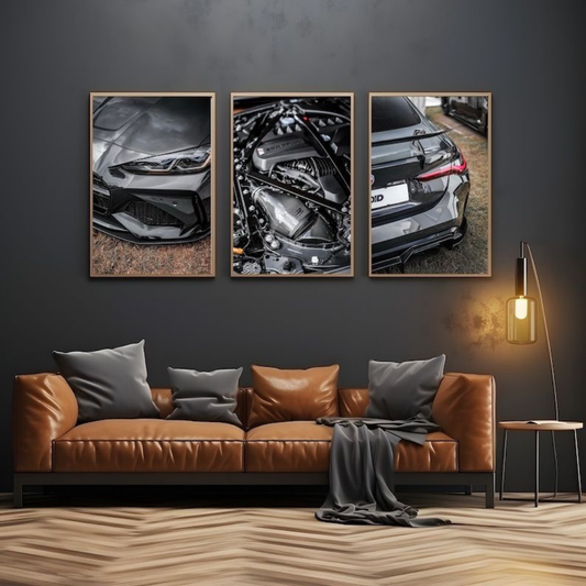 3PC BMW WALL FRAME